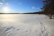 酒店外結了冰的 Lake Jerisjärvi