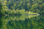 克羅地亞（克羅埃西亞）十六湖國家公園（Plitvice NP）